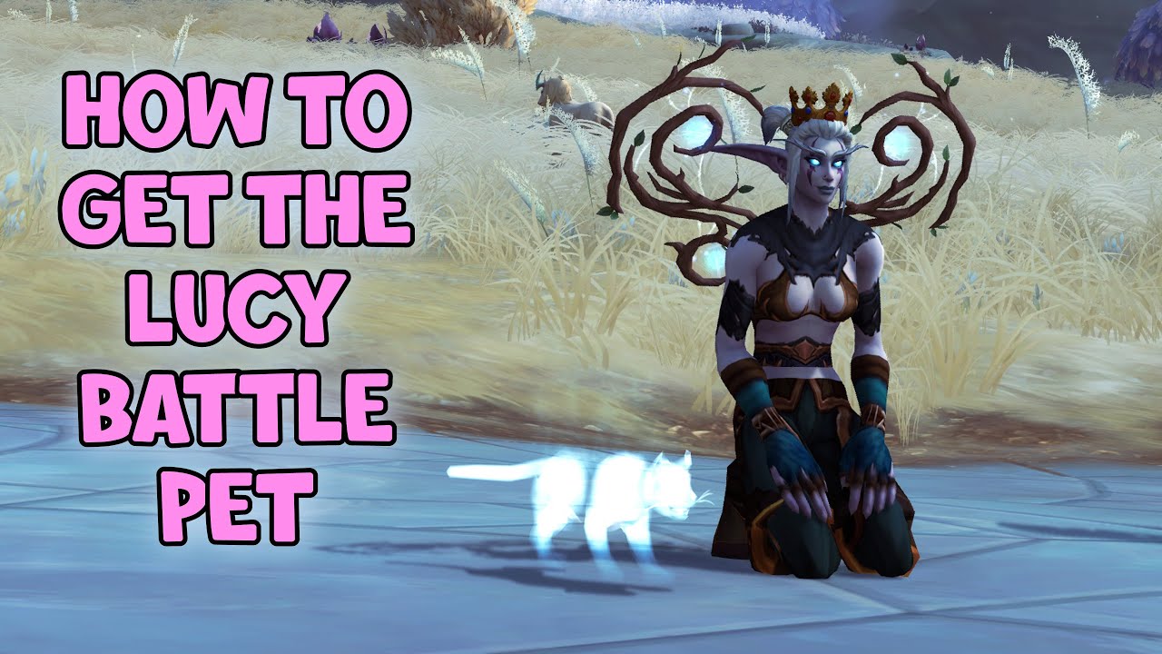 WoW Shadowlands - How To Get The Lucy Battle Pet | Dirty Glinting Object | Lucy's Lost Collar