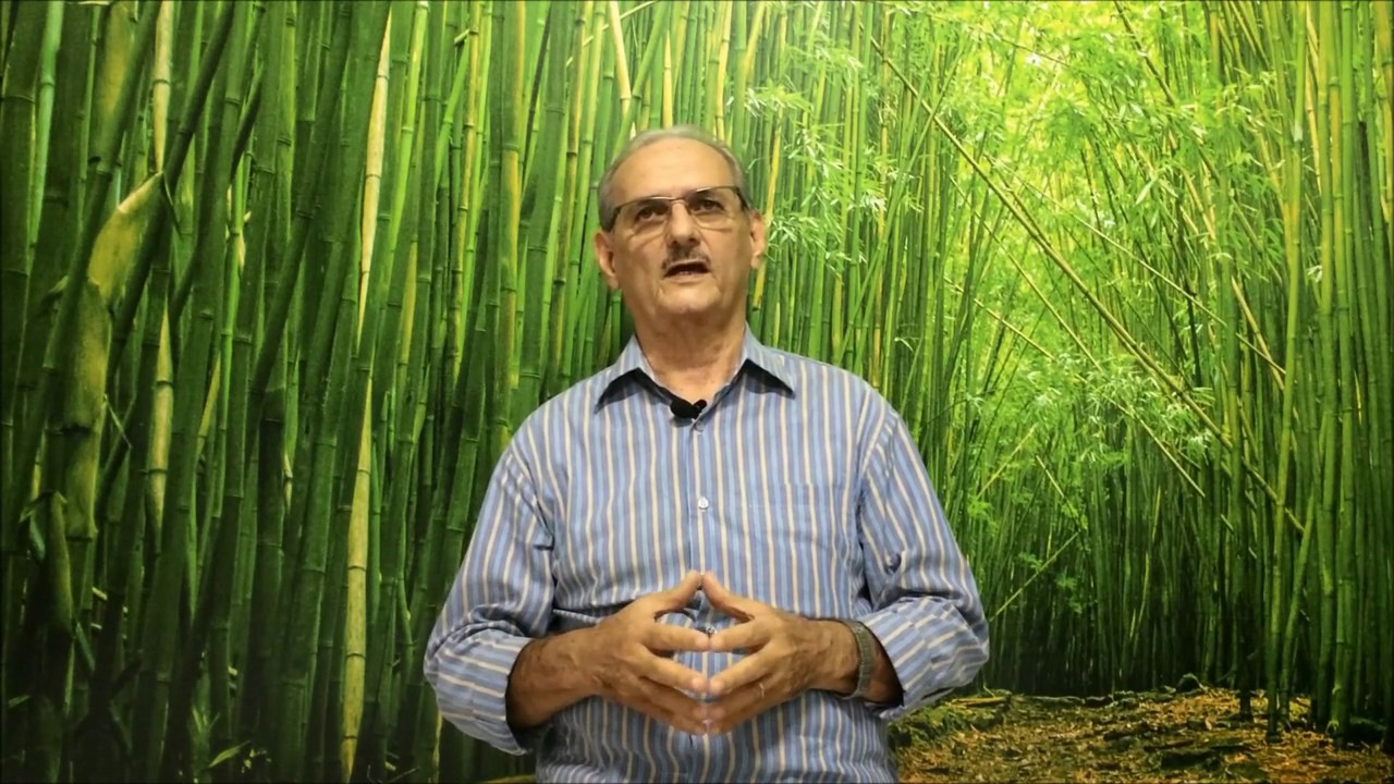 Plantas que armazenam água