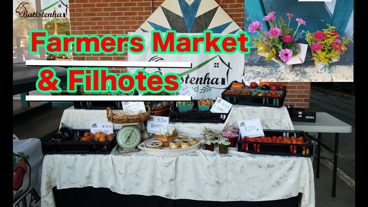 Farmers Market & Filhotes das Cabras / Farmers Market & Goat Kids