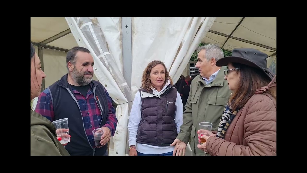 FERIA CHICA  NAVARREDONDA DE GREDOS