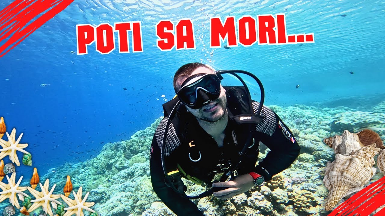 15 CURIOZITATI DESPRE SCUBA DIVING