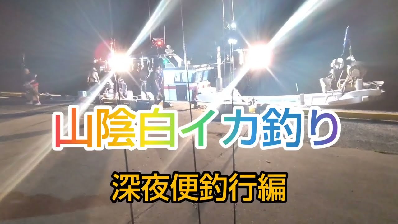 山陰白イカ釣り🦑深夜便編