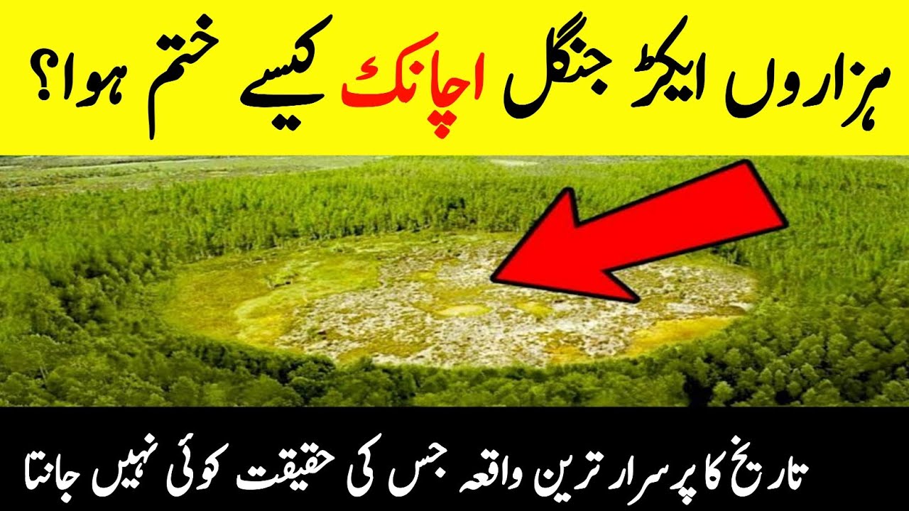 What's Reality Of Tunguska Event? || World Biggest Mystery || INFOatADIL