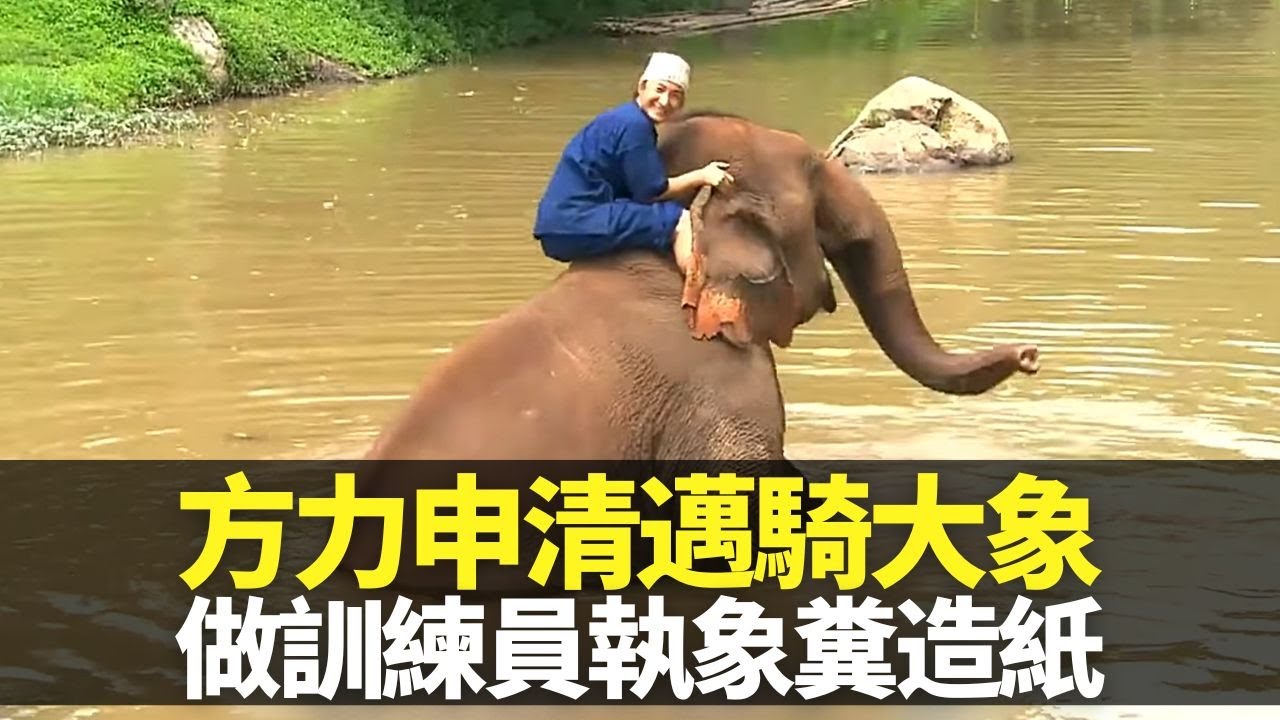 方力申泰國清邁騎大象 學做訓練員執象糞加工造紙｜小方由害怕到愛上巨無霸 與象共浴感受動物靈性｜訪泰國唯一大象醫院 受訓象識玩樂器、畫畫｜向世界出發3 方力申