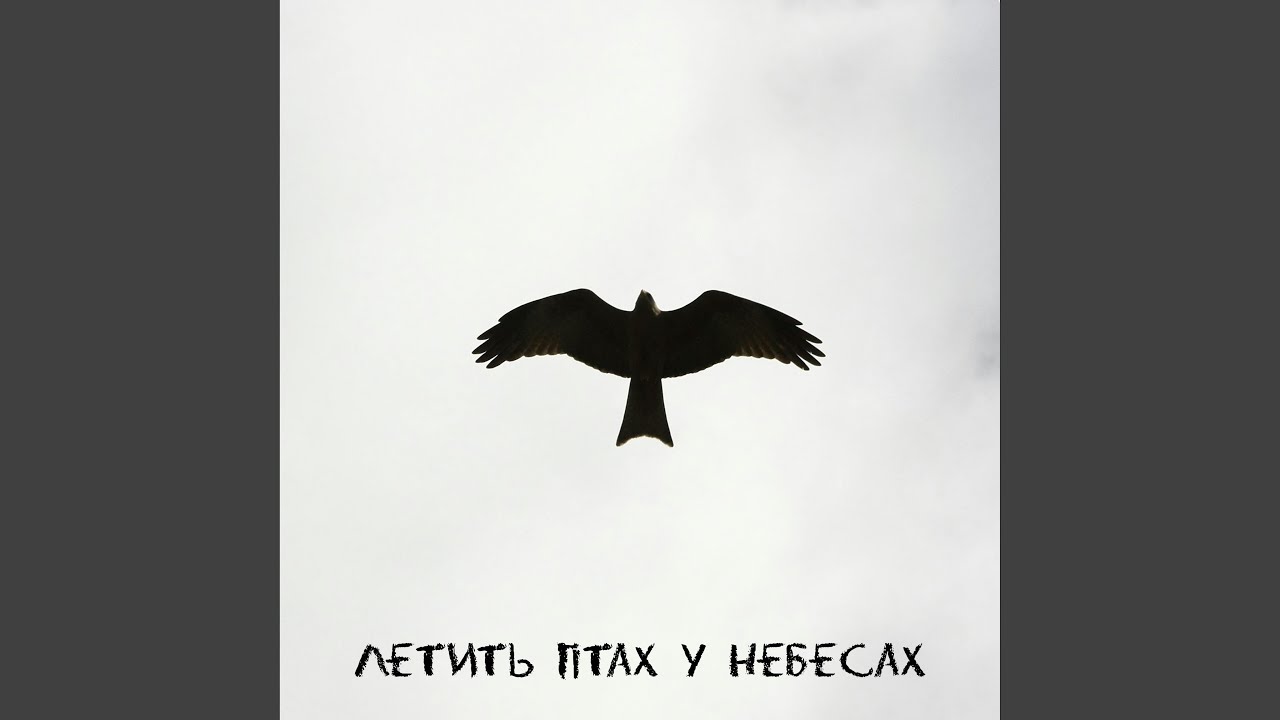 Летить птах у небесах