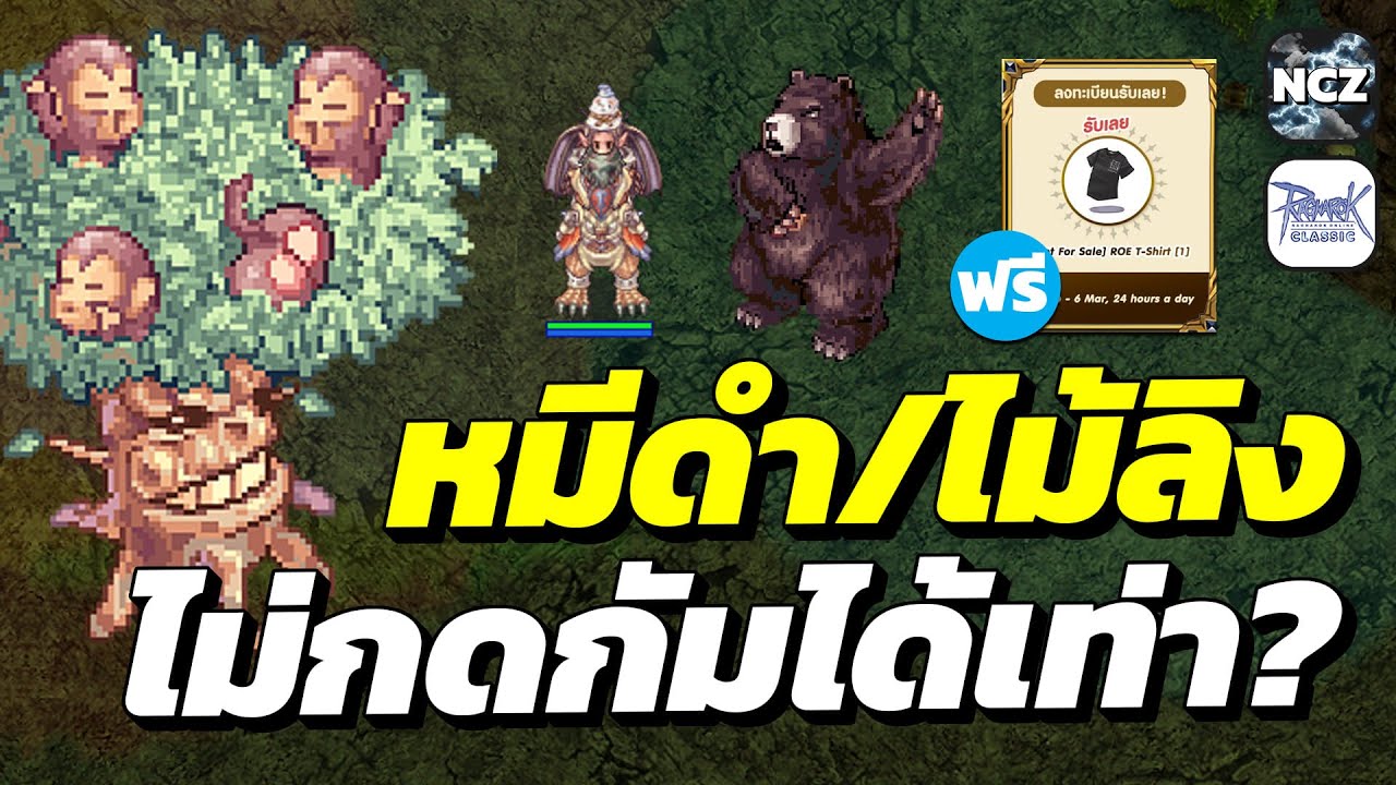 พาลาดิน ลองฟาร์มหมีดำ ต้นไม้ลิง แบบไม่กดกั้ม ได้เร่งละเท่าไหร่? / กิจแจกเสื้อฟรีมาแล้ว! | ROC EP.720
