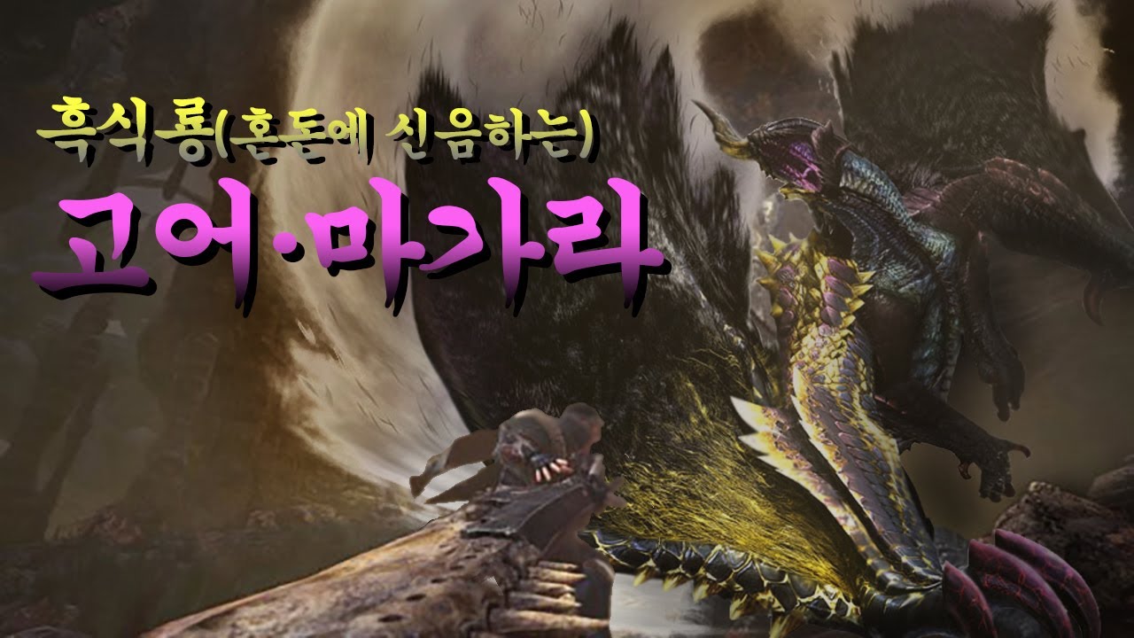 몬스터 헌터 생태 고룡종(?) 편 - 흑식룡(혼돈에 신음하는) 고어 마가라 (설정, 장비)