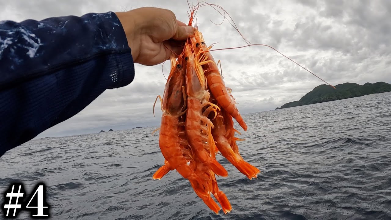 【#4】大量の巨大エビで大物を狙う！【カヤックでカジキを釣る伝説の企画】