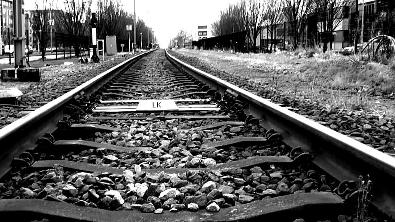 Echoland - Starve