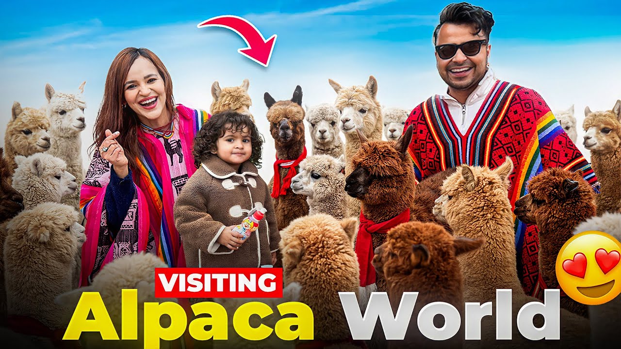 I visited Cutest Place in Korea with our Baby (Alpaca World) 😍