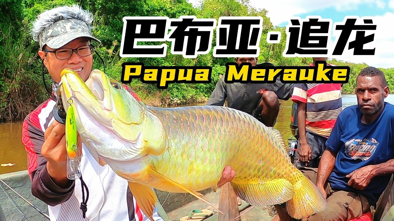 (EP93)黄金珍珠龙，巴布亚马老奇，远征开启！Papua Merauke,Golden Saratoga.Expedition Begins!!