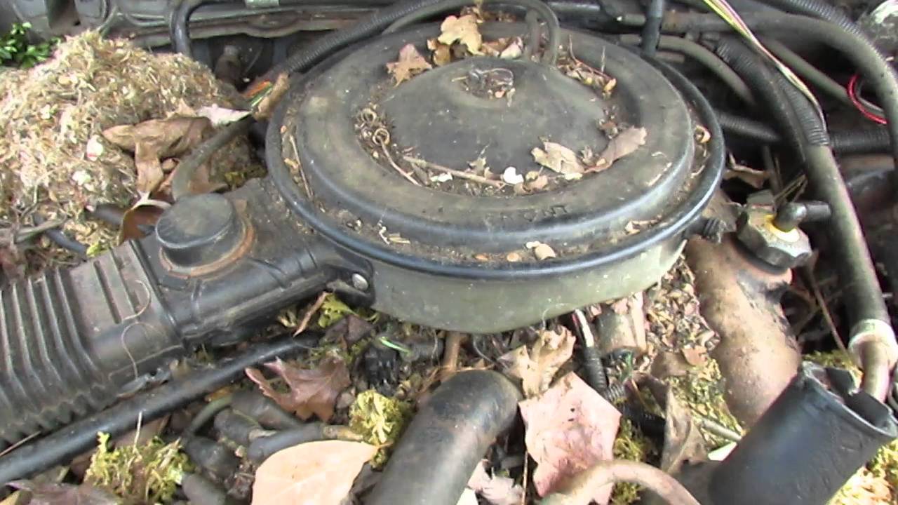 New Arrivals at the junkyard! Save or Scrap?