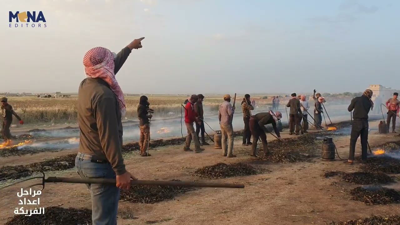 طريقة صناعة الفريكة في سوريا   اعداد محمود الديب