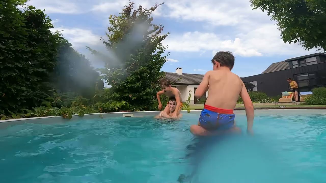 Kippen gevecht in het zwembad