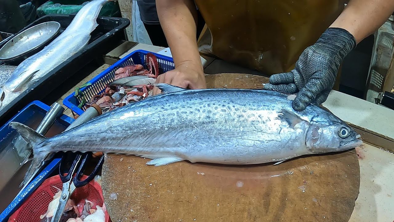 How to Perfectly Clean and Fillet a Spotted Mackerel &ndash; Full Guide! #fish #asmr #fishcutting