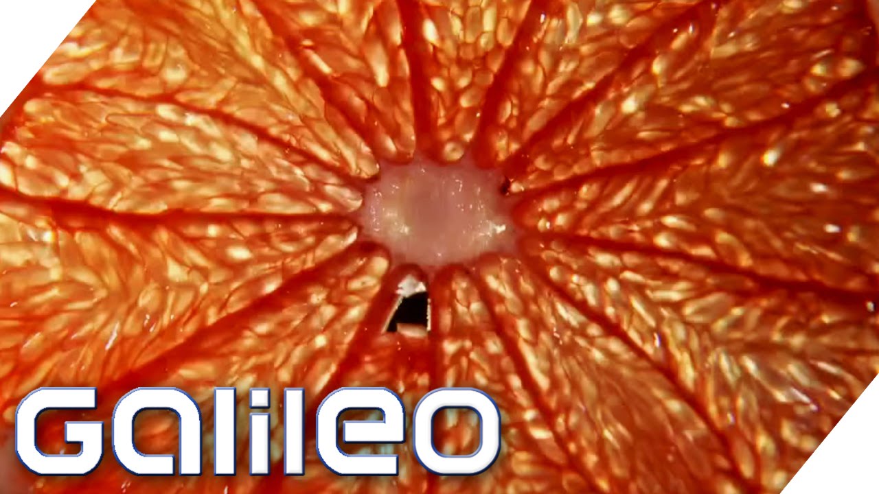 Grapefruit: Vitamine, die schlank machen | Galileo | ProSieben