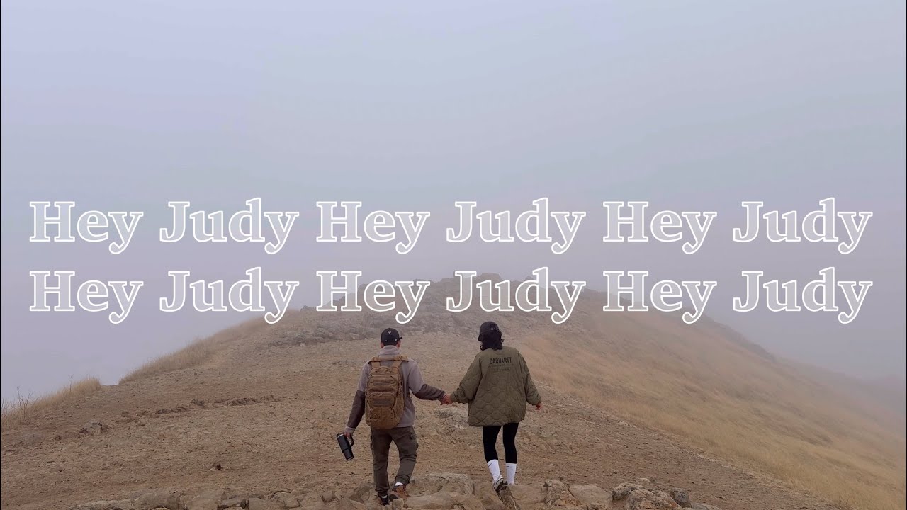 [미국일상vlog] 샌프란댁 11월 두번째 일기｜Trader joe's｜Mission Peak