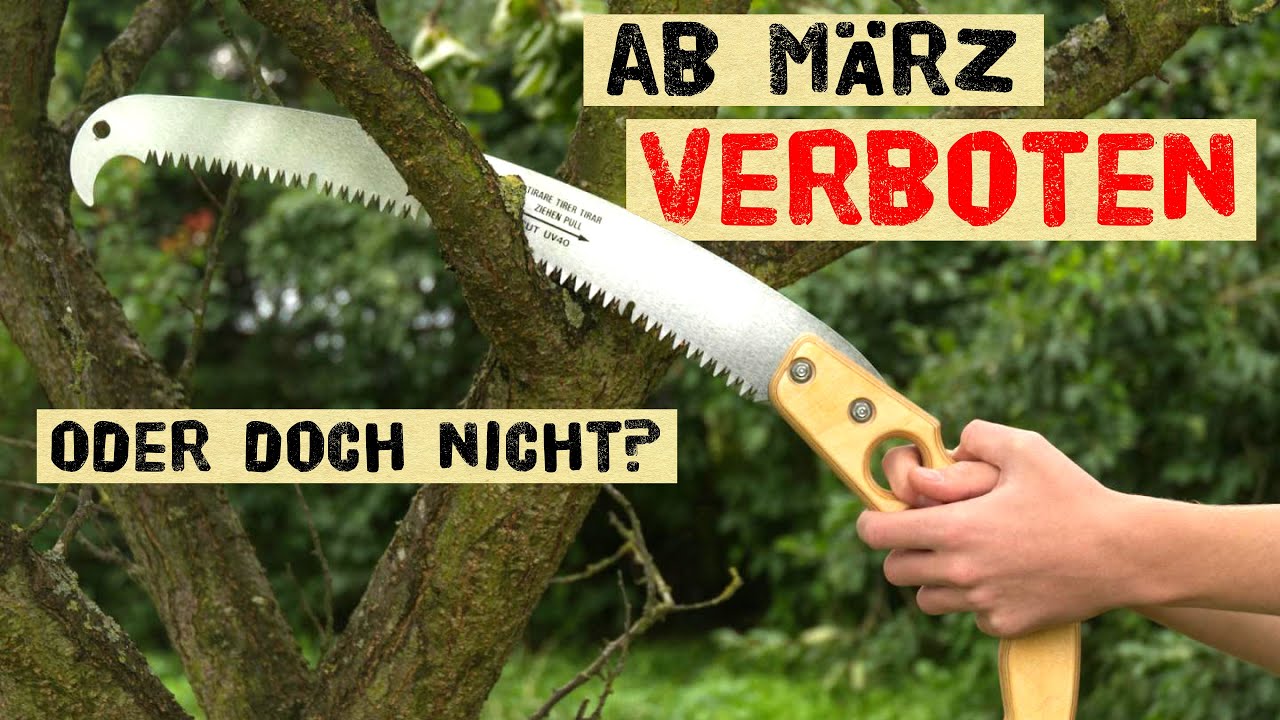 Das ist ab März im Garten verboten + warum es nicht komplett verboten ist die Hecke zu schneiden!