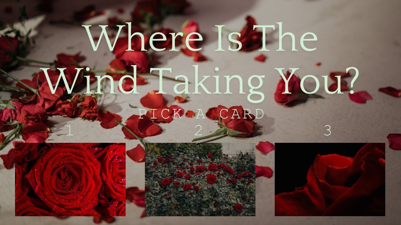 Where Is The Wind Taking You? Pick A Card