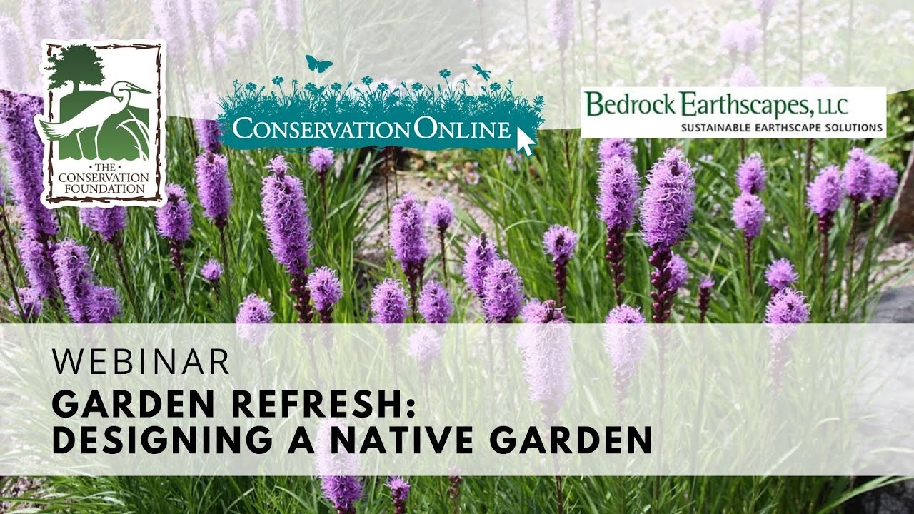 Garden Refresh: Designing a Native Garden