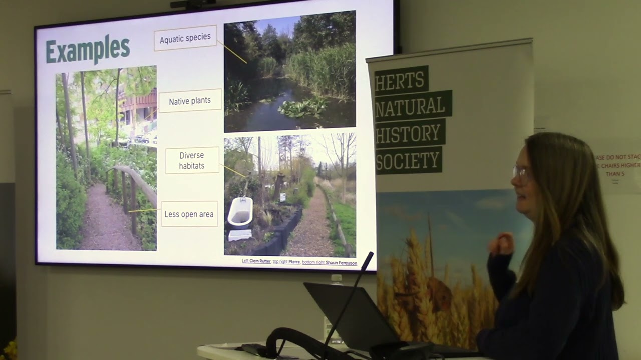 Bird Conference 2026: Jess Stokes -  Birds in Greenspaces