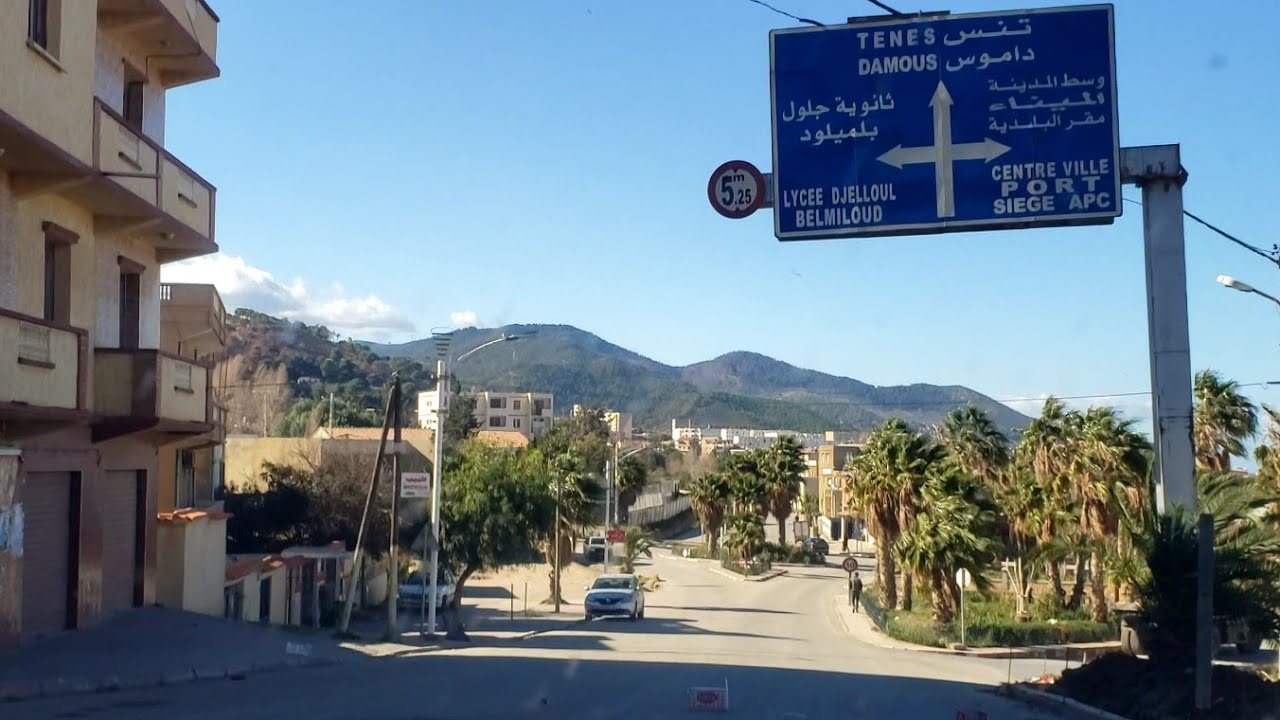 قوراية ولاية تيبازة 🇩🇿2021🌹🌿🌸🦈🌼🐳🌻🌊🥀🐟🌷🐋🌺🌹🎍🌲🌳🎋🌤☘🐟