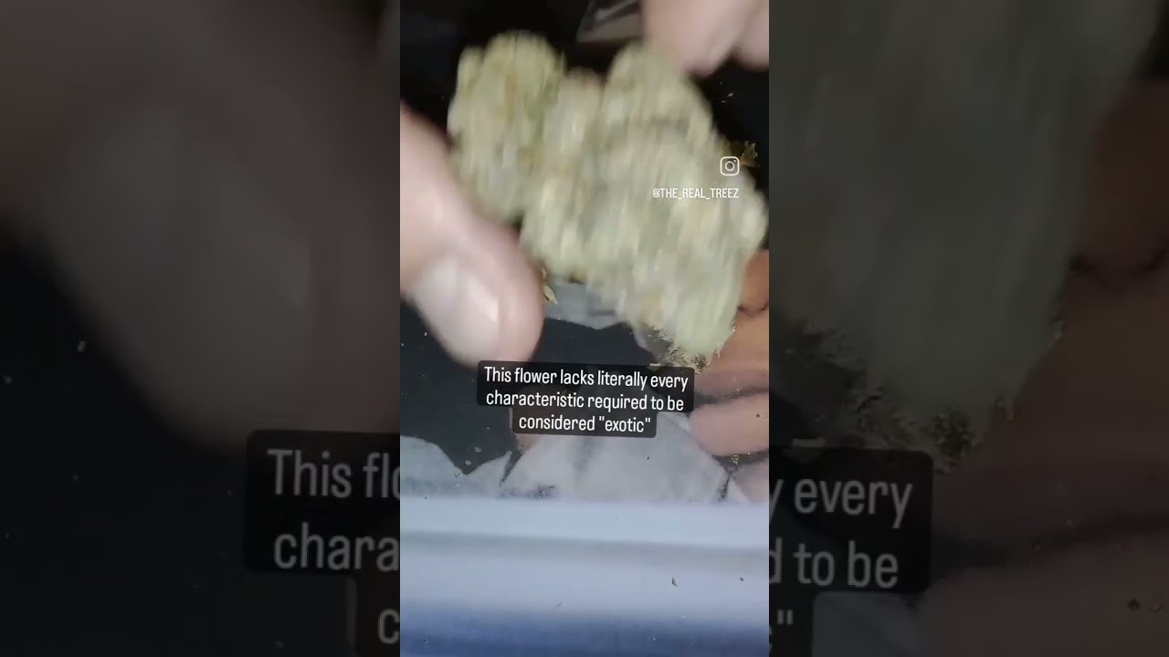 Puff or Pass?: Backpackboyz - White Guava Gelato. 60 second review