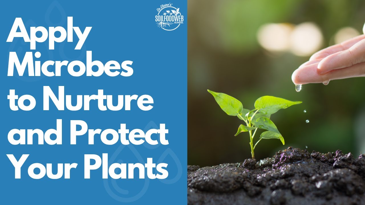 The Science of Soil Fertility in 3-Steps Part 3: Apply Microbes to Nurture and Protect Your Plants