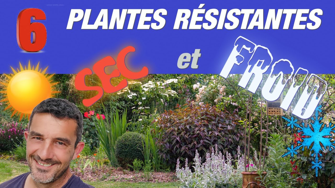 PLANTES VIVACES RESISTANTES au SEC et au FROID  !