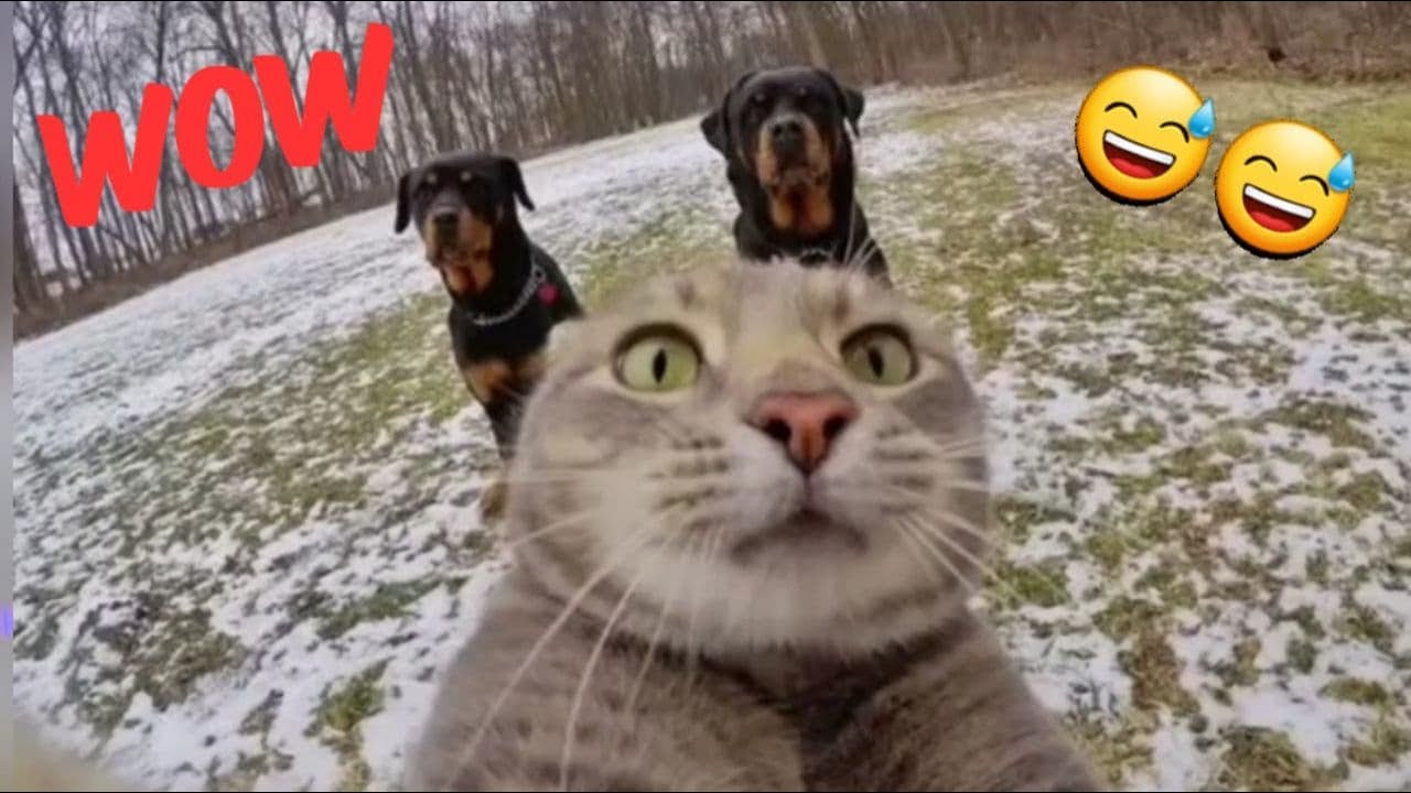LIKE A BOSS COMPILATION #19 - Amazing People 2020, Army FAILS #likeaboss #bestcube #приколы #fails
