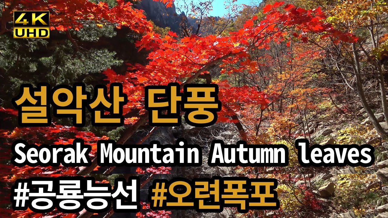 힐링도시4K 설악산 천불동계곡 단풍 여행 오련폭포~희운각대피소 구간 Seorak Mountain Autumn leaves
