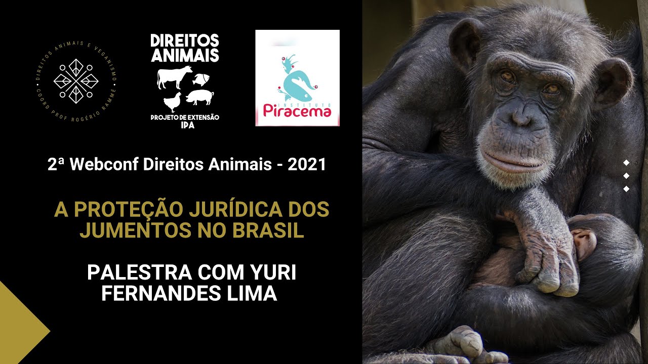A proteção jurídica dos jumentos no Brasil - Palestra com Yuri Fernandes Lima