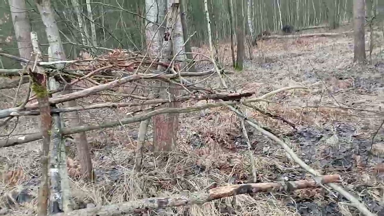 Wł&oacute;czykij Filipek oraz Tarp Helikon Tex small camogrom i szałas leśny Bushcraft
