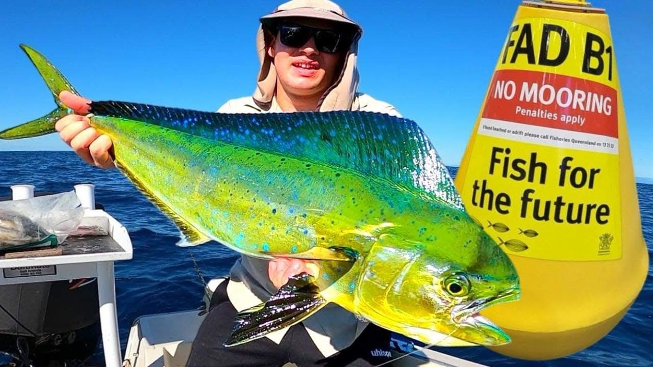 HOW TO CATCH FISH AT FADs!! - (Baits, lures, gear, technique)