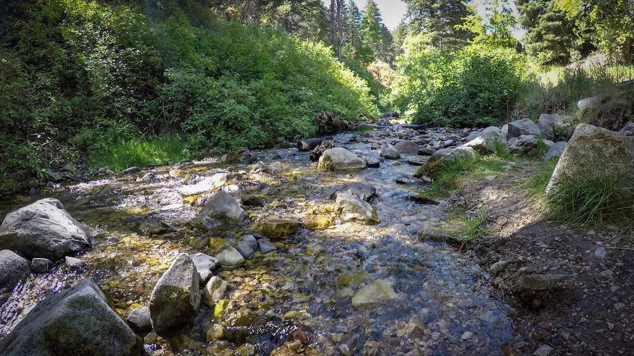 Relax by the river.