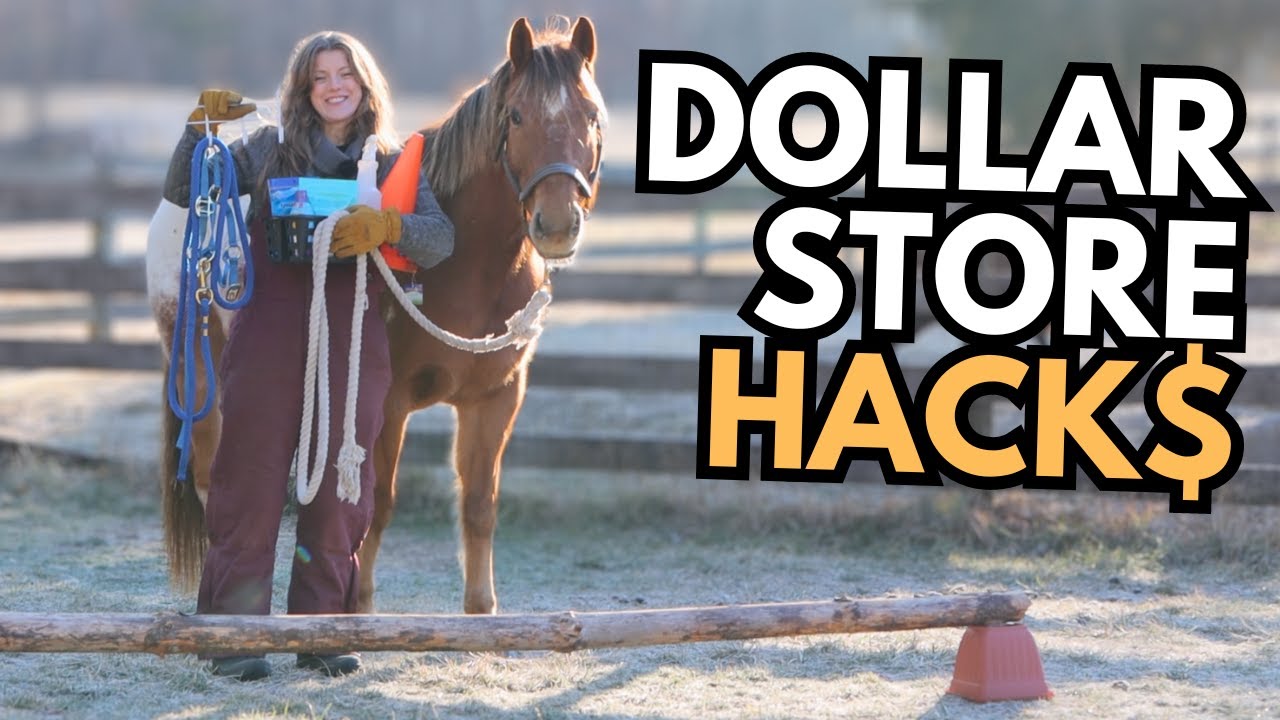 Лайфхаки для лошадей из магазина Dollar Store (действительно полезные!)