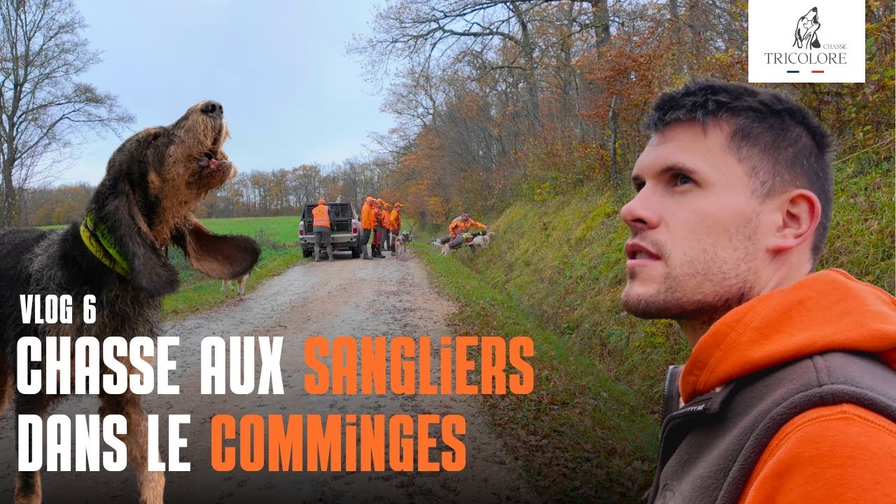 La chasse dans le Comminges - Sanglier 2025