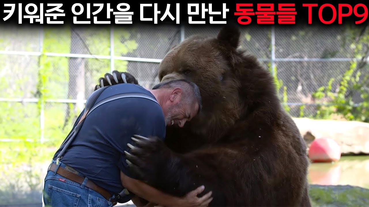 식지마 내 보온도시락
