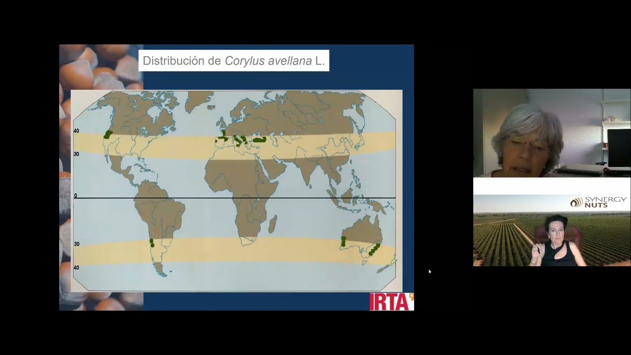 &iquest;D&oacute;nde se cultiva el avellano en el mundo? 🌍