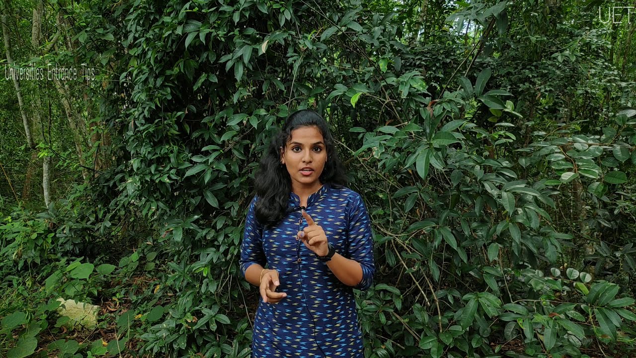 jnuee 2020 | Expected details of JNU Entrance 2020 | JNU UET|