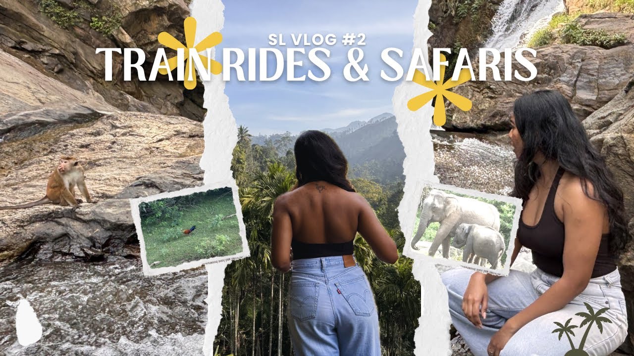Nine Arches, Falls & Waterfalls, Monkey Attacks, and Leopard Paw Prints | A very chaotic journey 