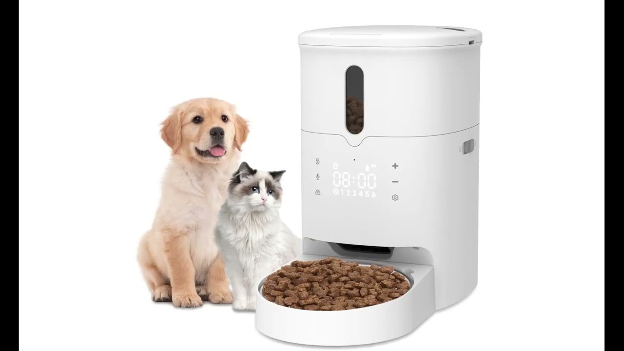 How to Program the Lakwar Automatic Pet Feeder