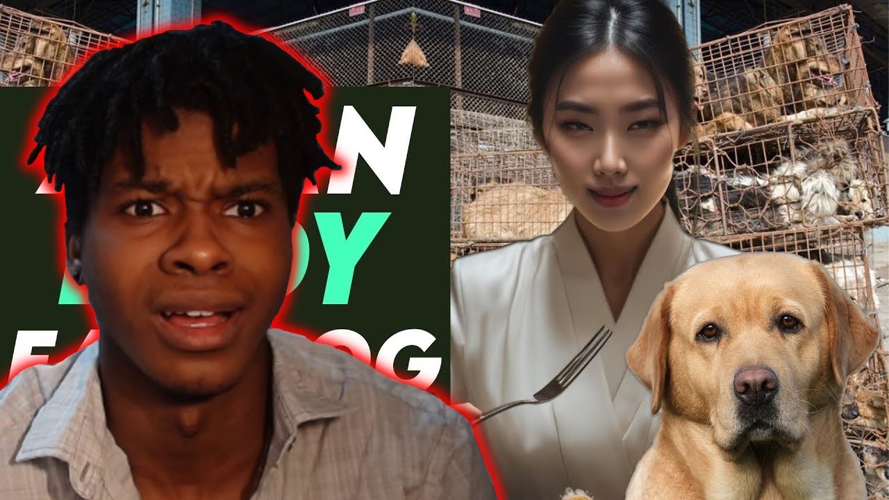 Hot Asian Lady Eats Dog... | Tomorrow's Teachings (REACTION)