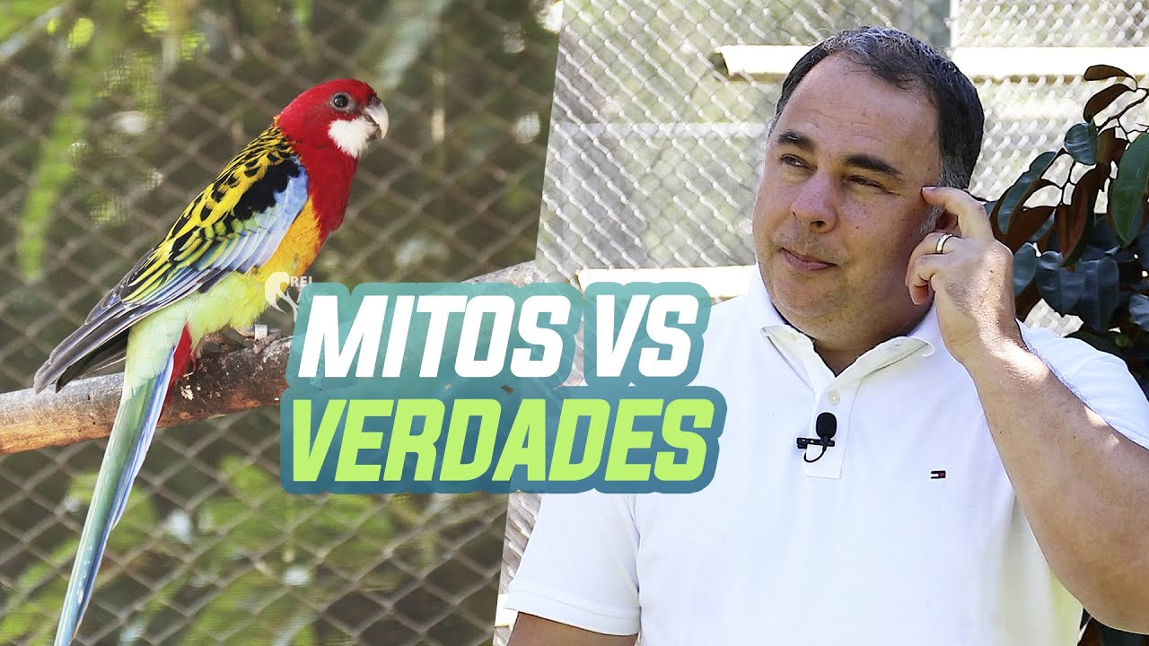 MITOS E VERDADES SOBRE ROSELAS