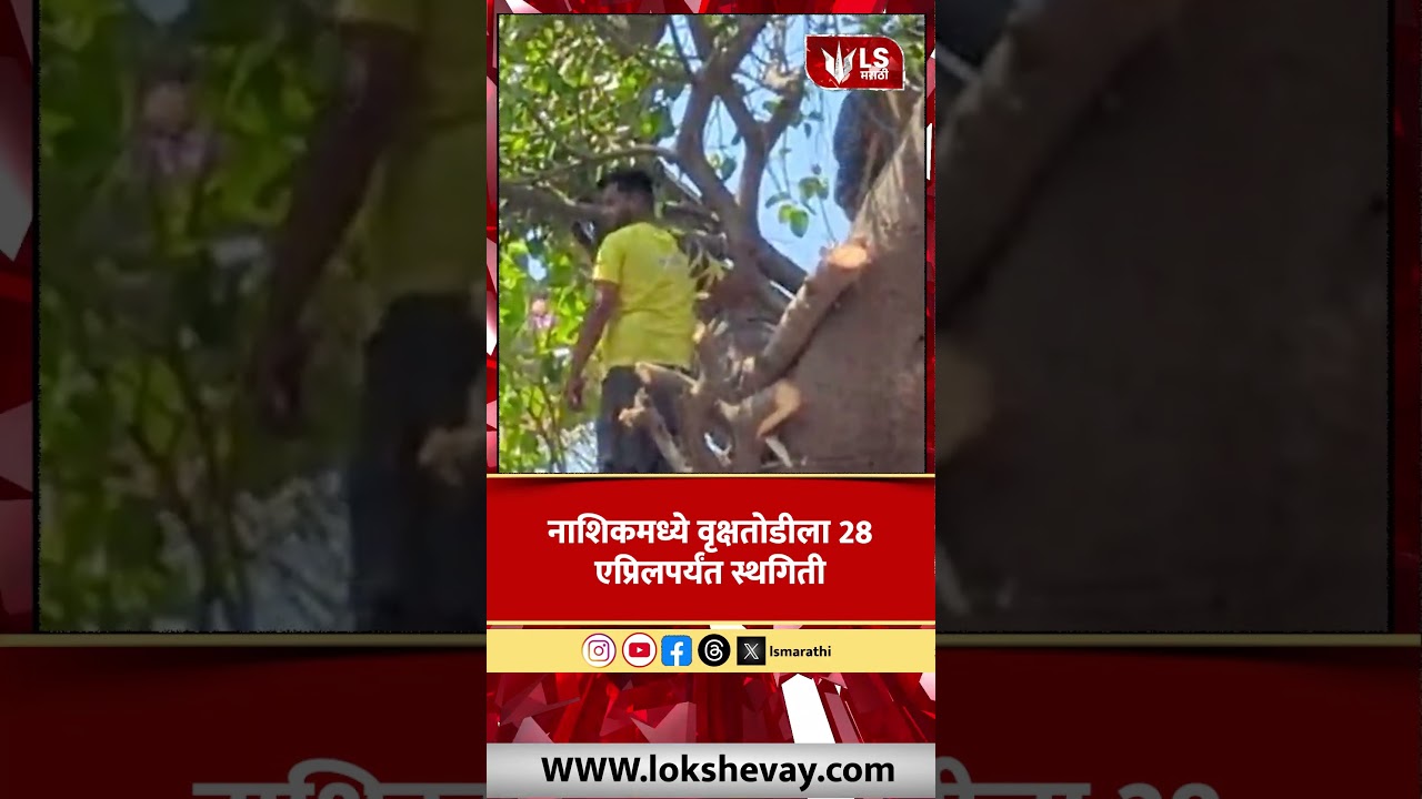 Tree Cutting थांबणार! 28 एप्रिलपर्यंत NGTची स्थगिती #marathinews #breakingnews