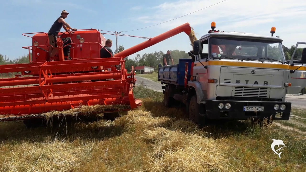 Remont Bizona Z056 2018