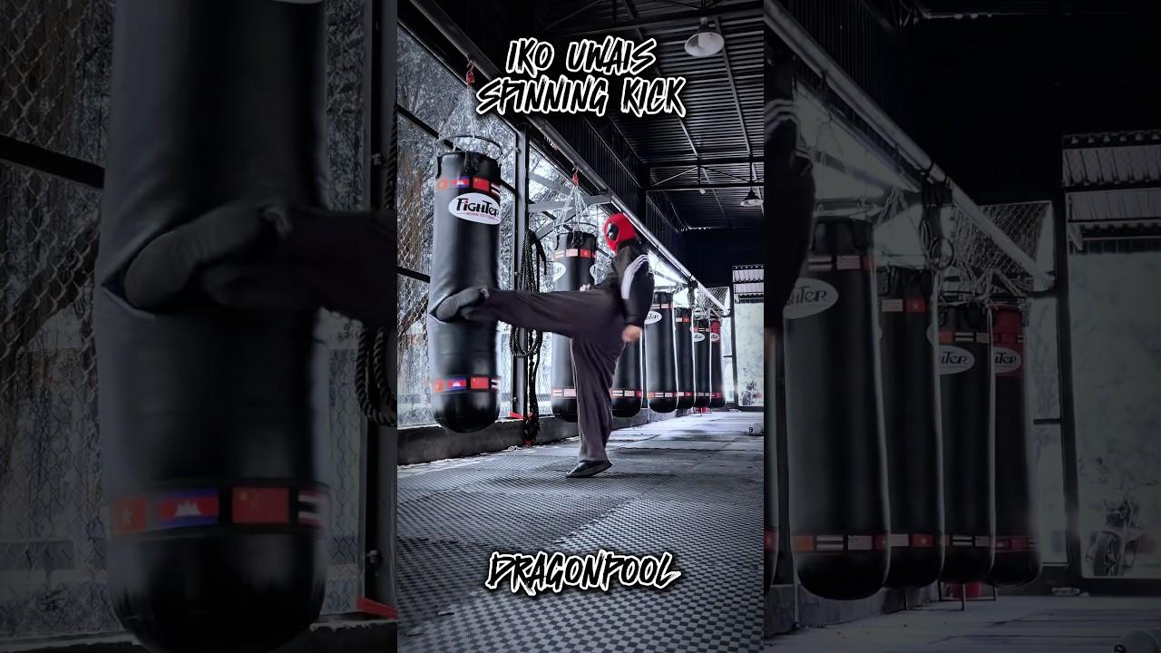 Iko Uwais skill 