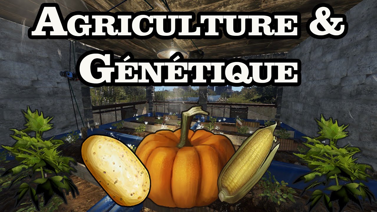 Rust - Agriculture & G&eacute;n&eacute;tique [Tout Savoir]