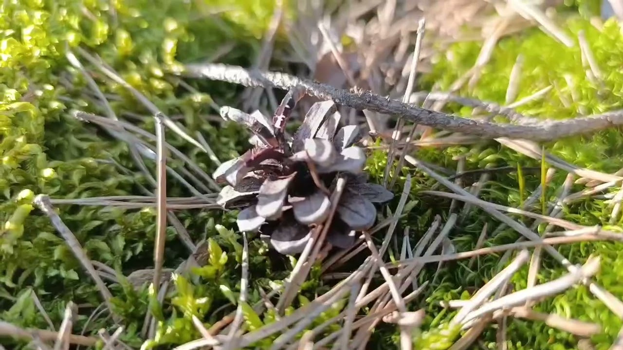 Stačí mít otevřené oči a srdce ❤️ Překrásná příroda 🌳🏵️🌼