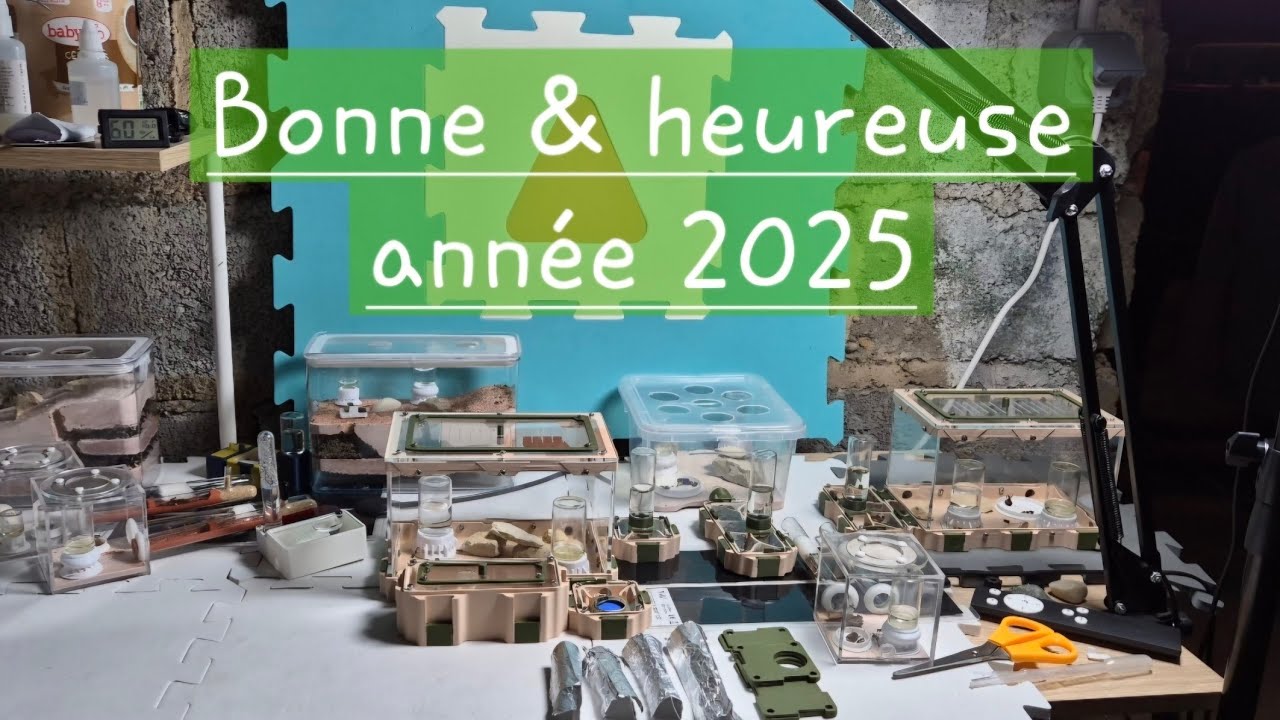 Le 1er tour de mon installation de l'année 🥳